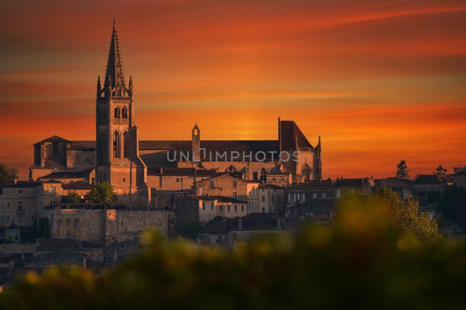 Saint-Emilion, Vineyard landscape, Vineyard south west of France, Europe