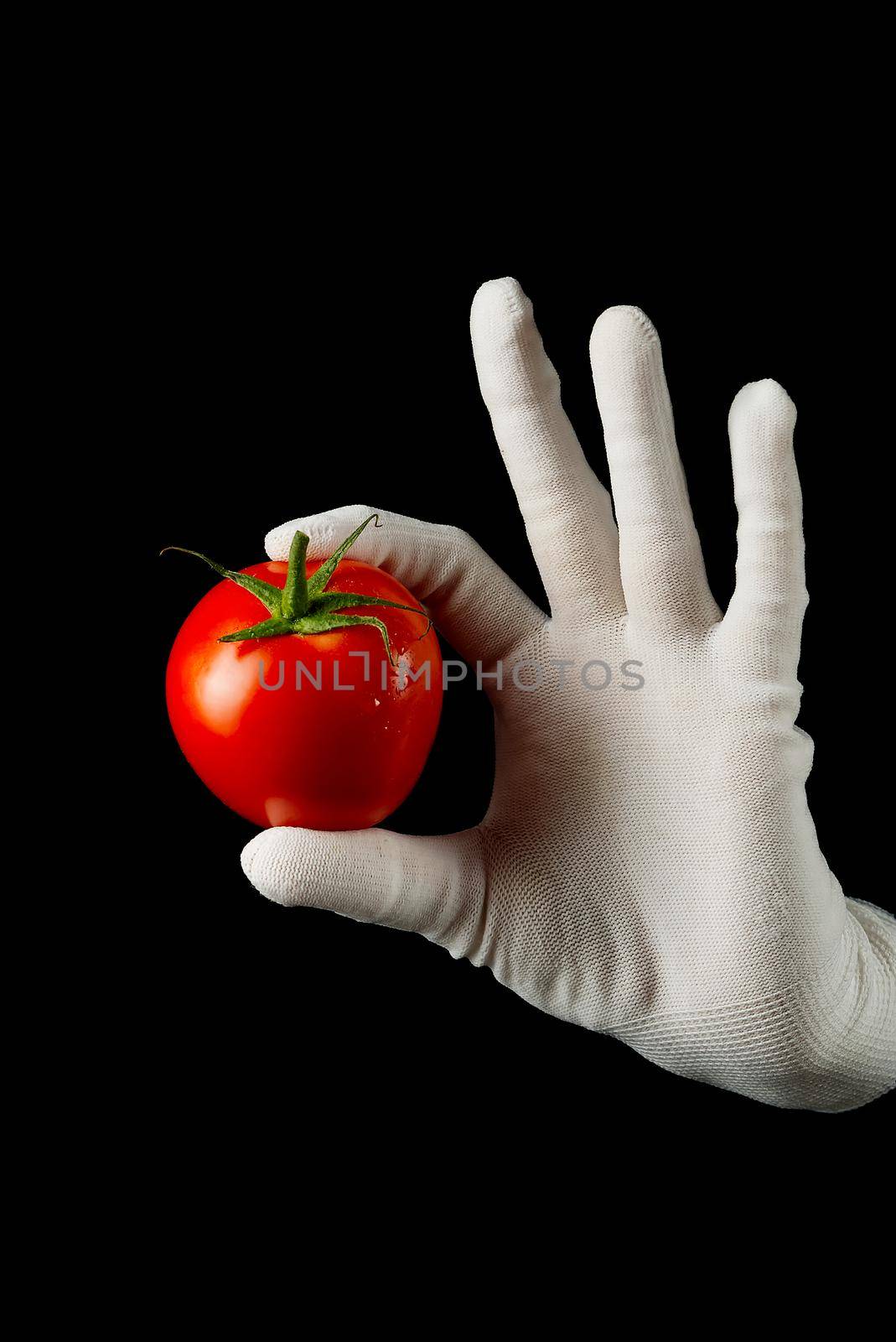 Fine fresh red tomatoes held by a hand in white glove on black background by PhotoTime