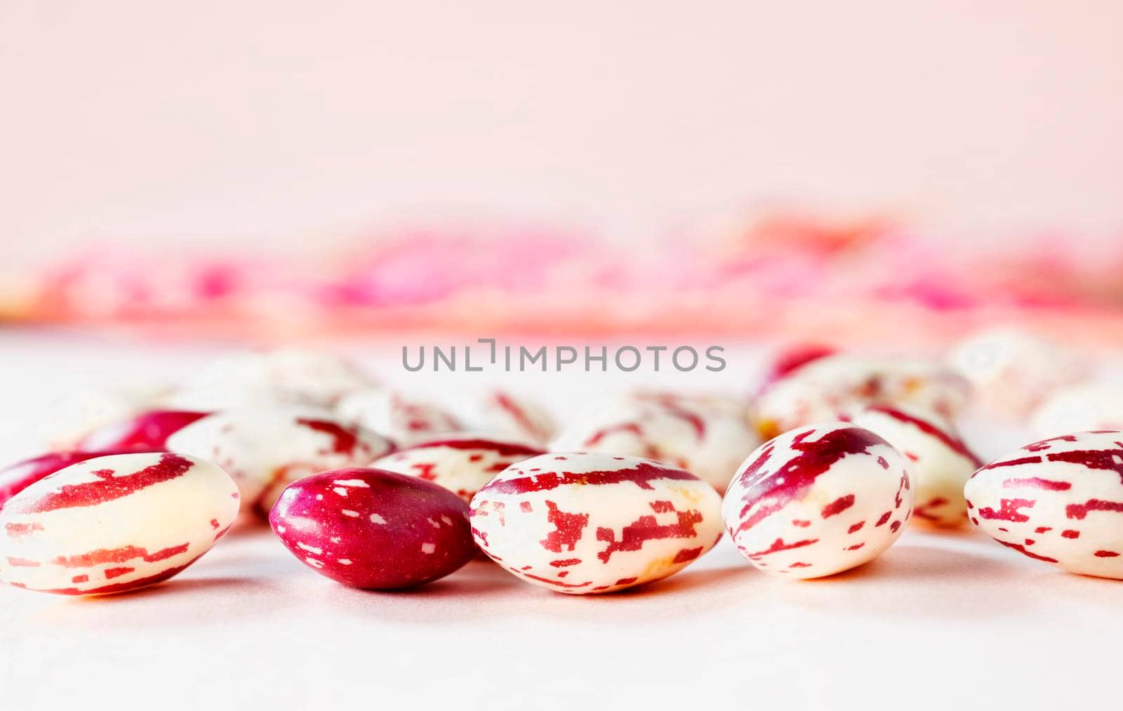Fresh borlotti beans on table beans with red specks on creamy white background , common beans or pinto beans
