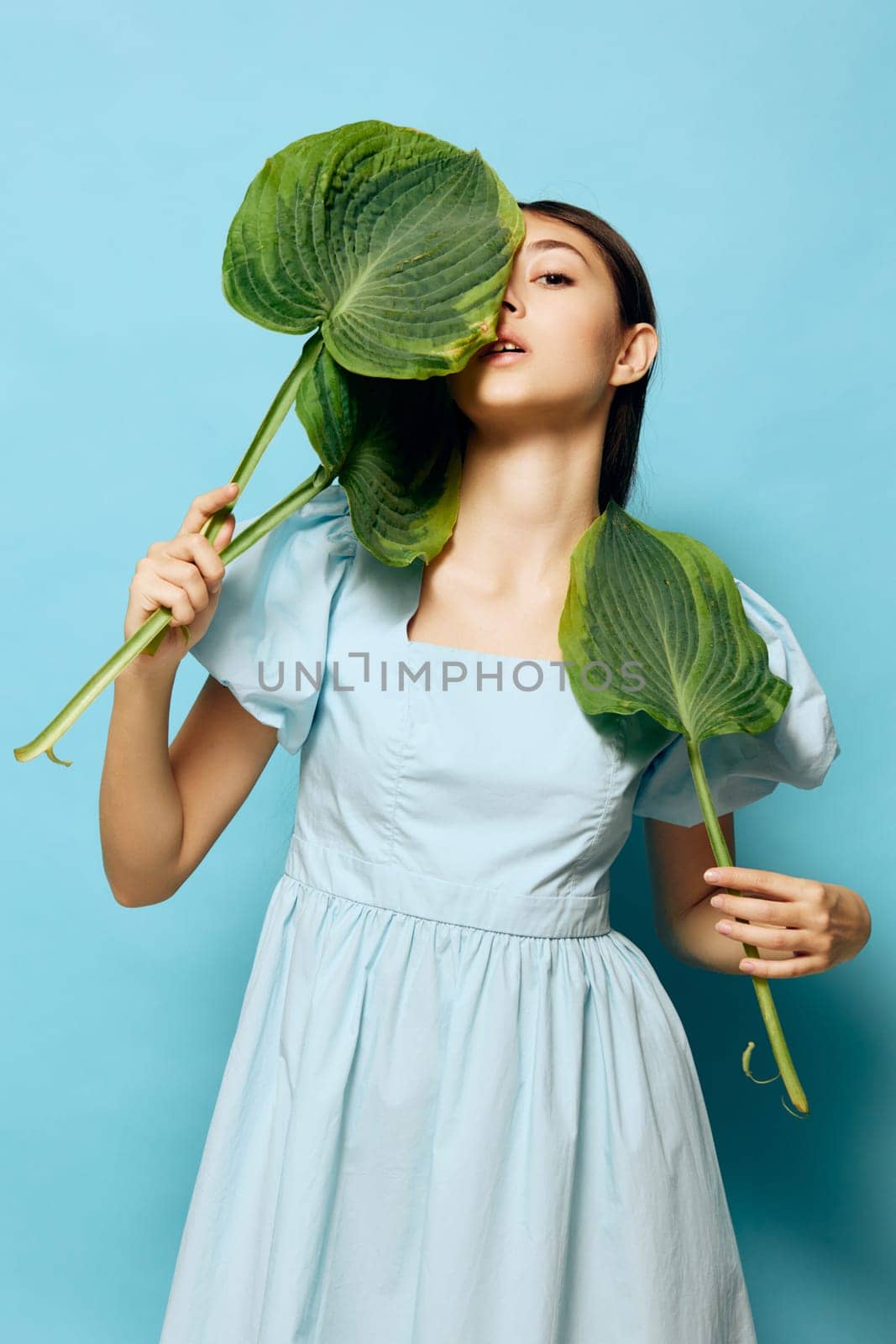 studio woman glamour lifestyle fashionable portrait attractive pretty flower pink beauty palm cosmetic young smile blue style clothes leaf model happy