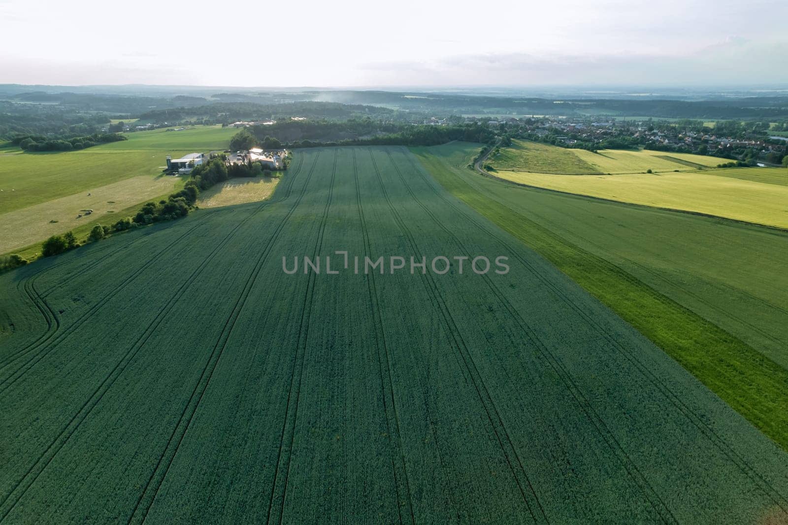 Aerial view captures beauty rural landscape, where fields young green wheat dominate scenery.