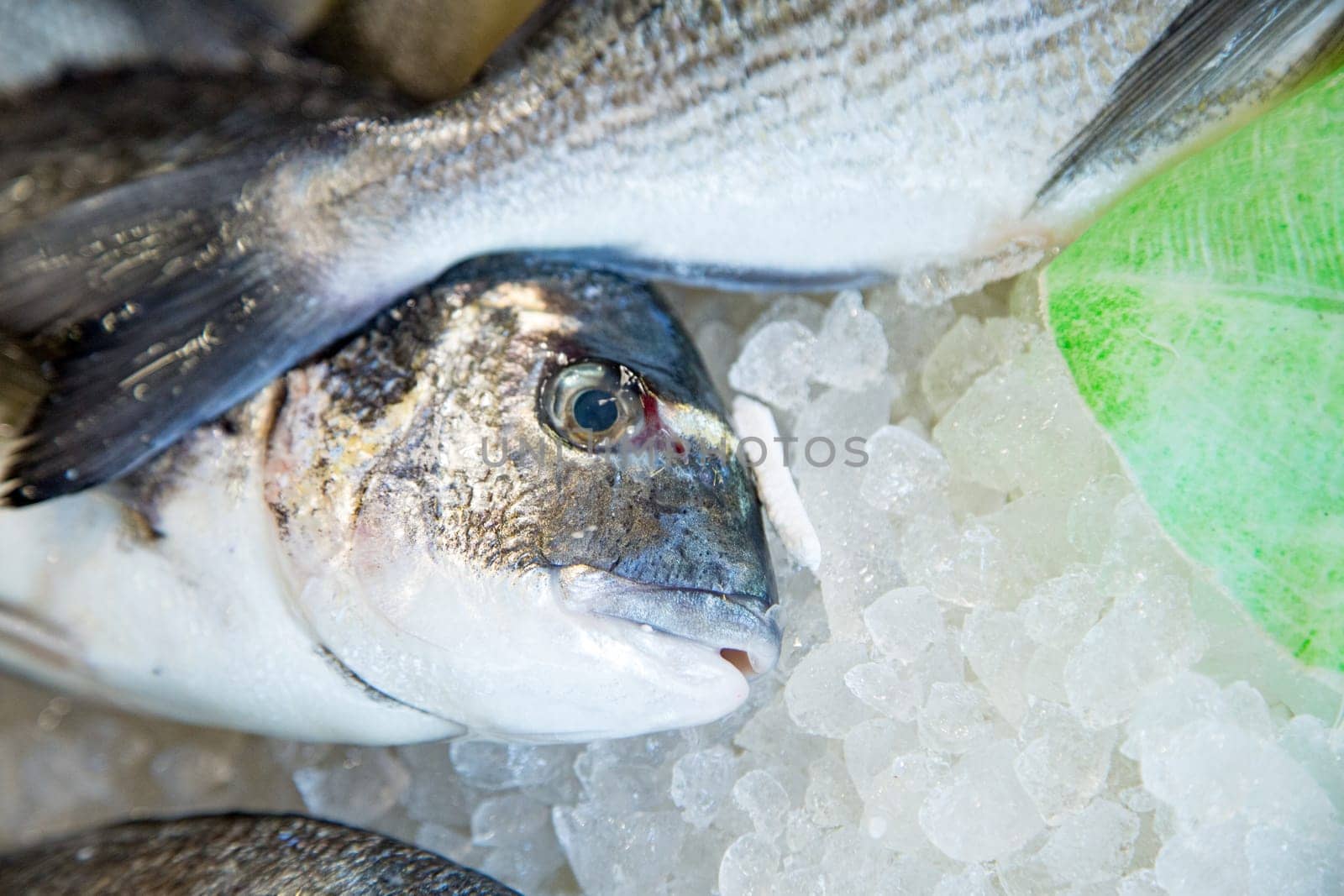 Top view of fresh fish on a fishmonger's stall. Gourmet sea healthy food.