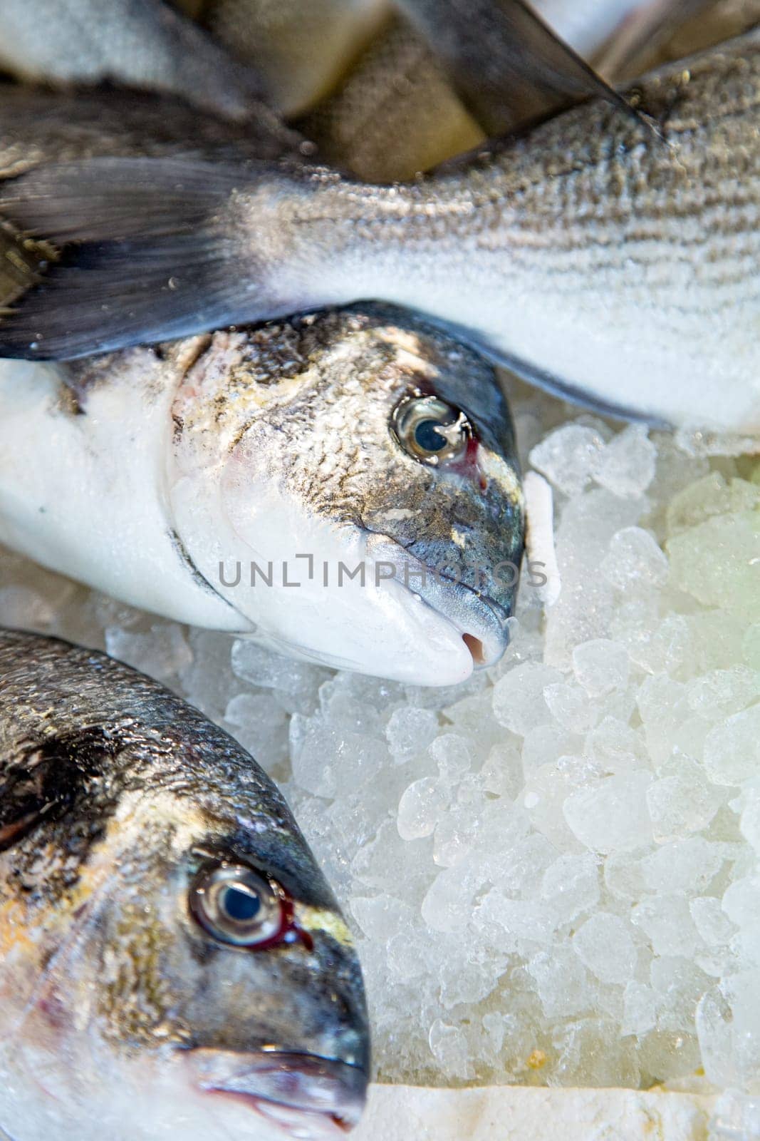 Top view of fresh fish on a fishmonger's stall. Gourmet sea healthy food.