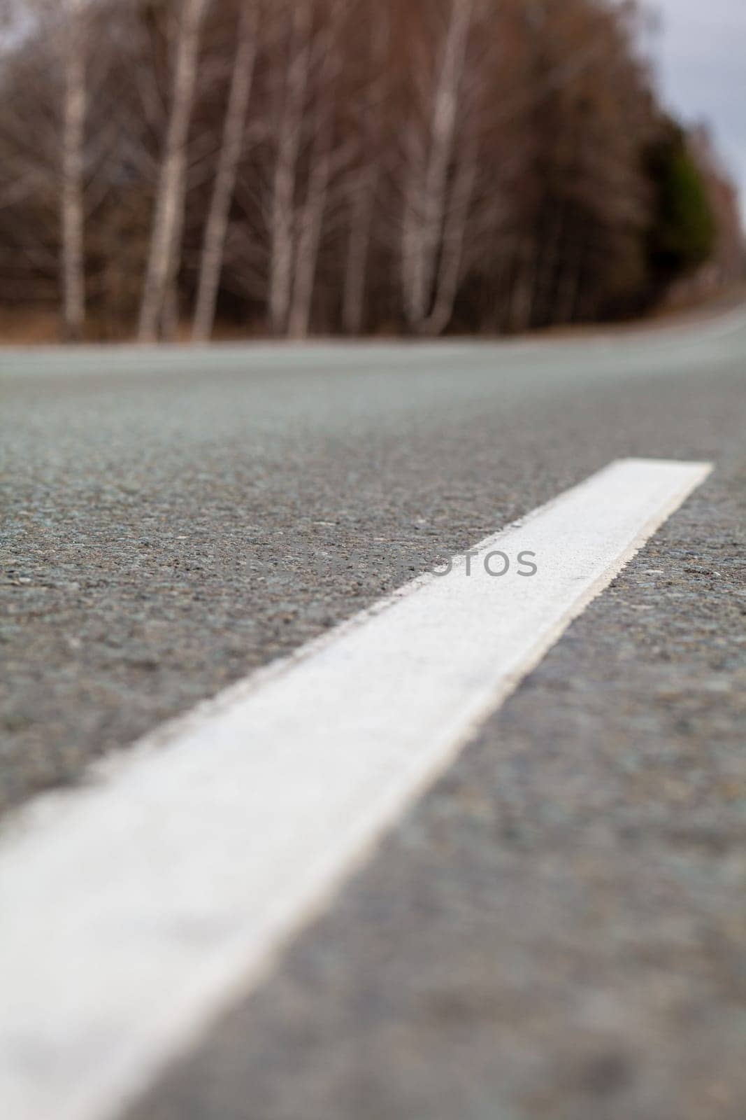 Country road with markings in the middle of the forest. Path and movement forward in cloudy weather. Beautiful forest in spring. Concept of success in future goal and time passing