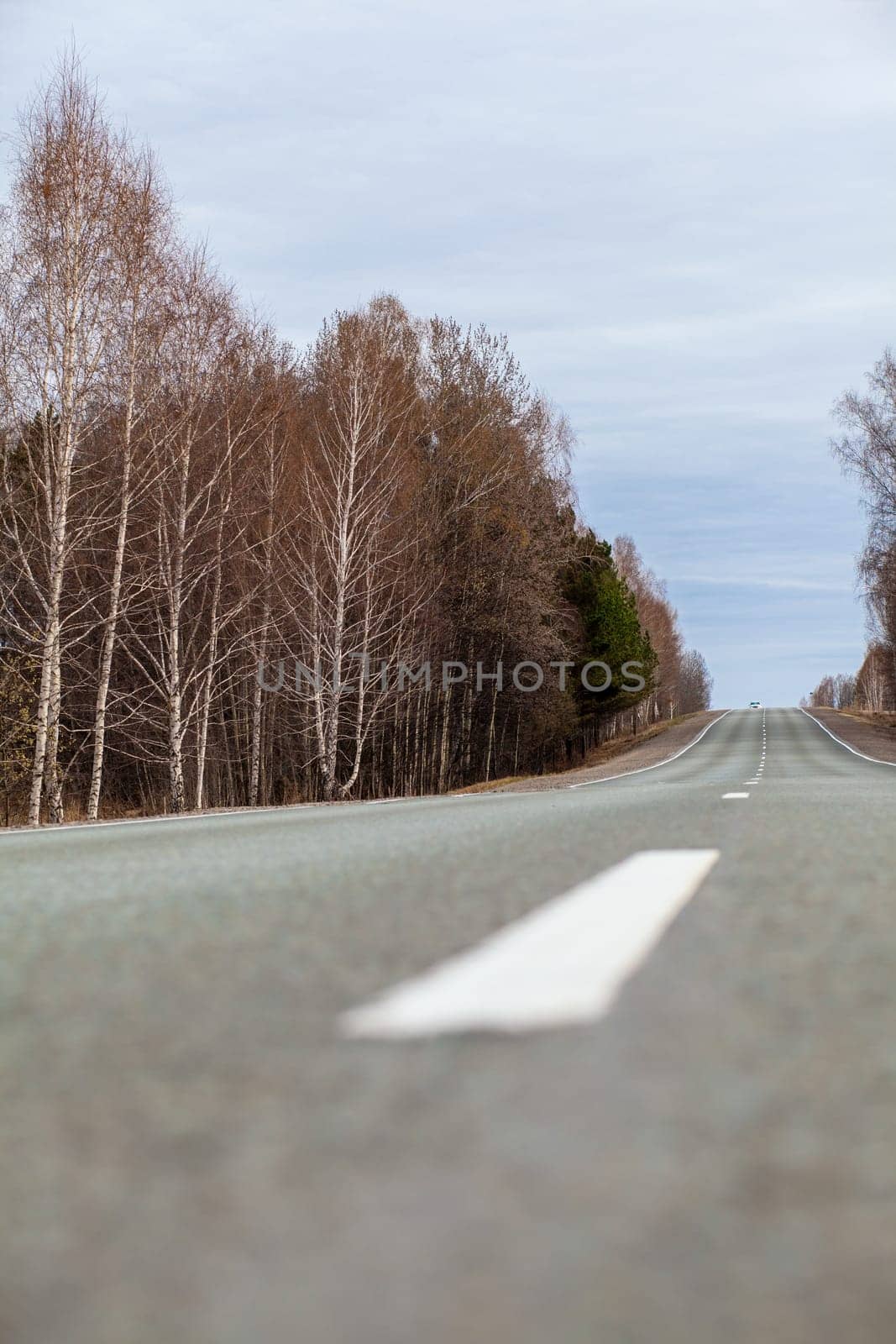 Country road with markings in the middle of the forest. Path and movement forward in cloudy weather. Beautiful forest in spring. Concept of success in future goal and time passing