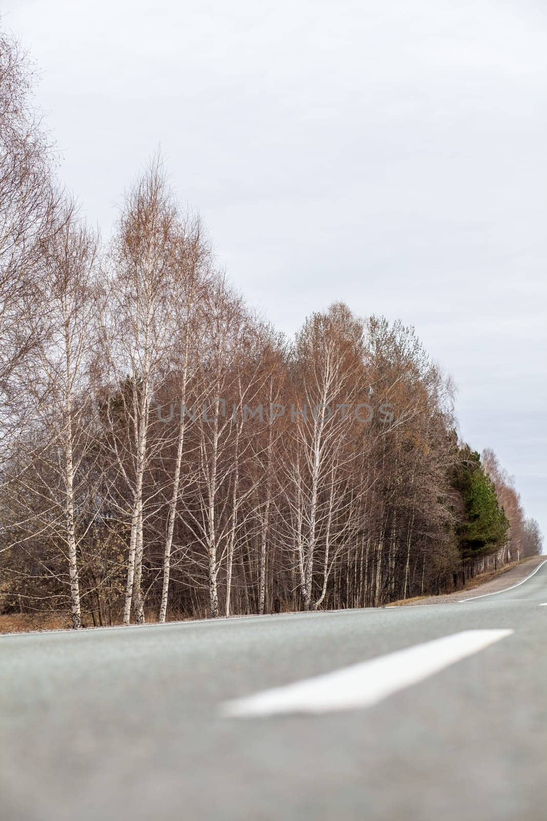 Country road with markings in the middle of the forest. Path and movement forward in cloudy weather. Beautiful forest in spring. Concept of success in future goal and time passing