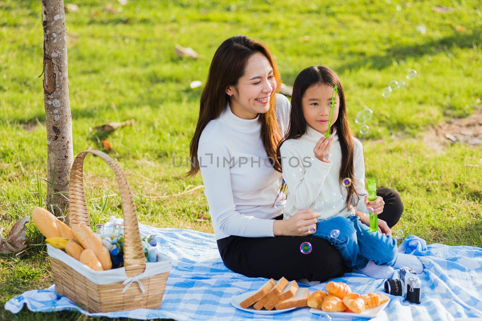 mother and daughter having fun blowing soap bubbles during a picnic by Sorapop
