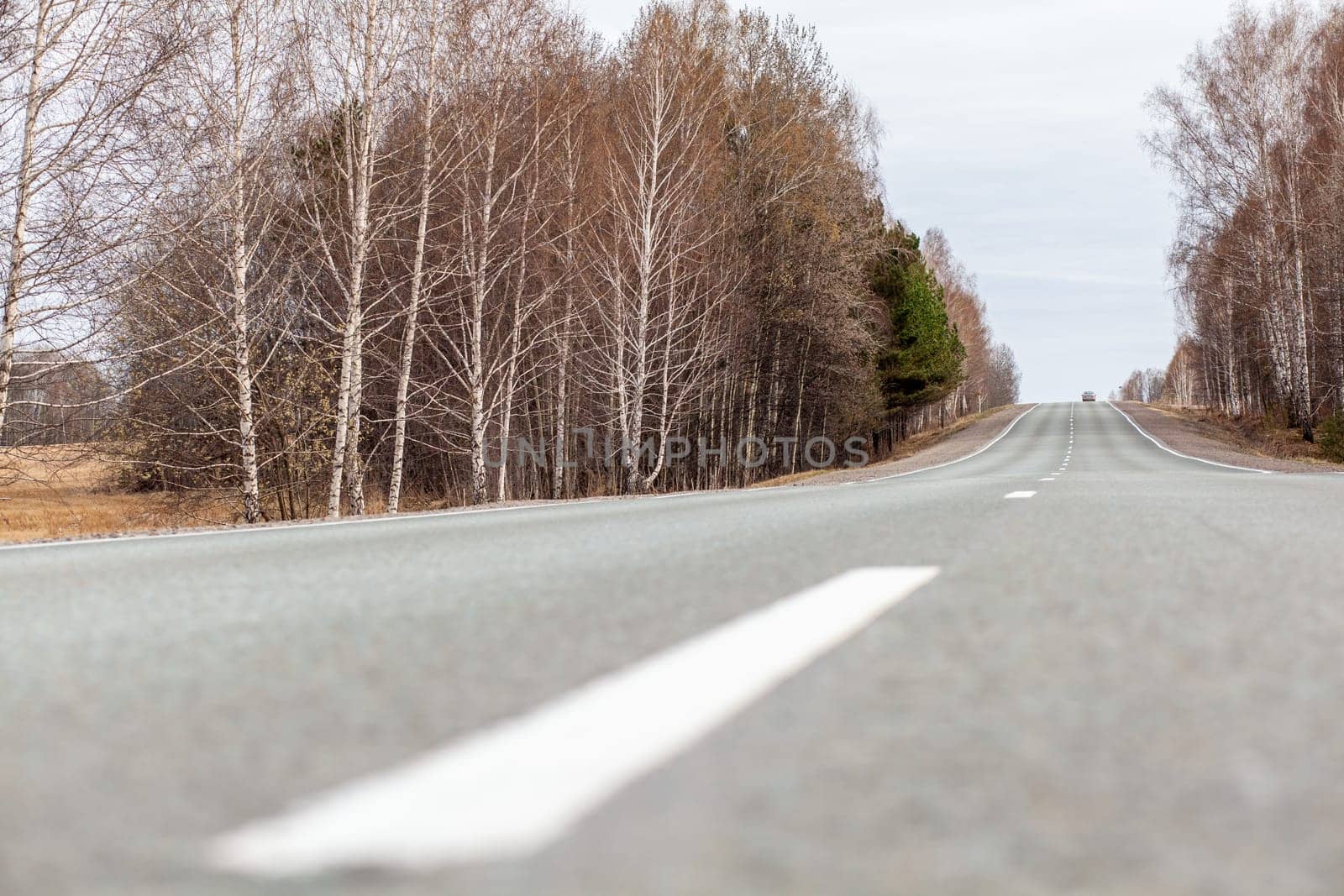 Country road with markings in the middle of the forest. Path and movement forward in cloudy weather. Beautiful forest in spring. Concept of success in future goal and time passing