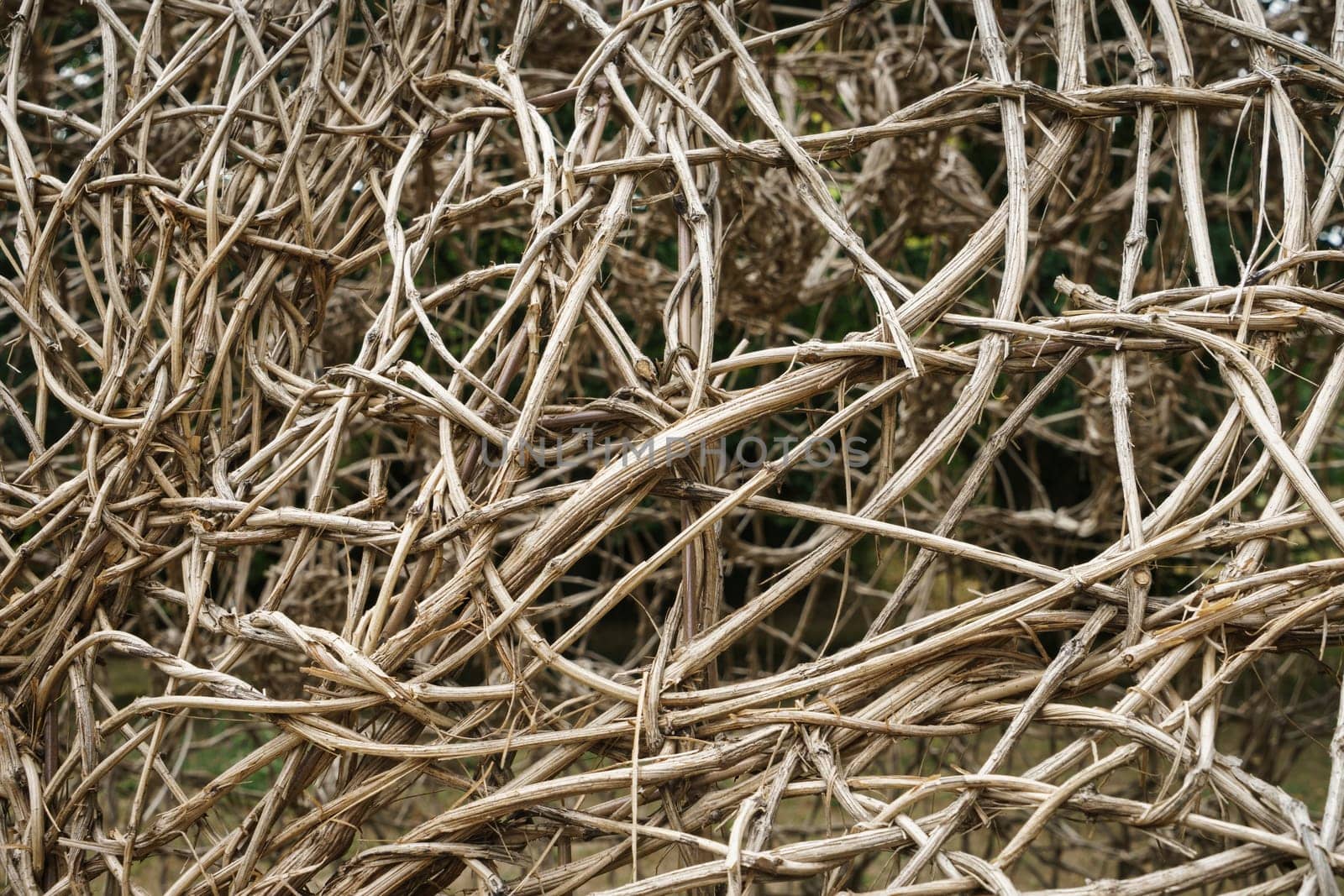 Large web of dry branches with texture and shallow depth of field.