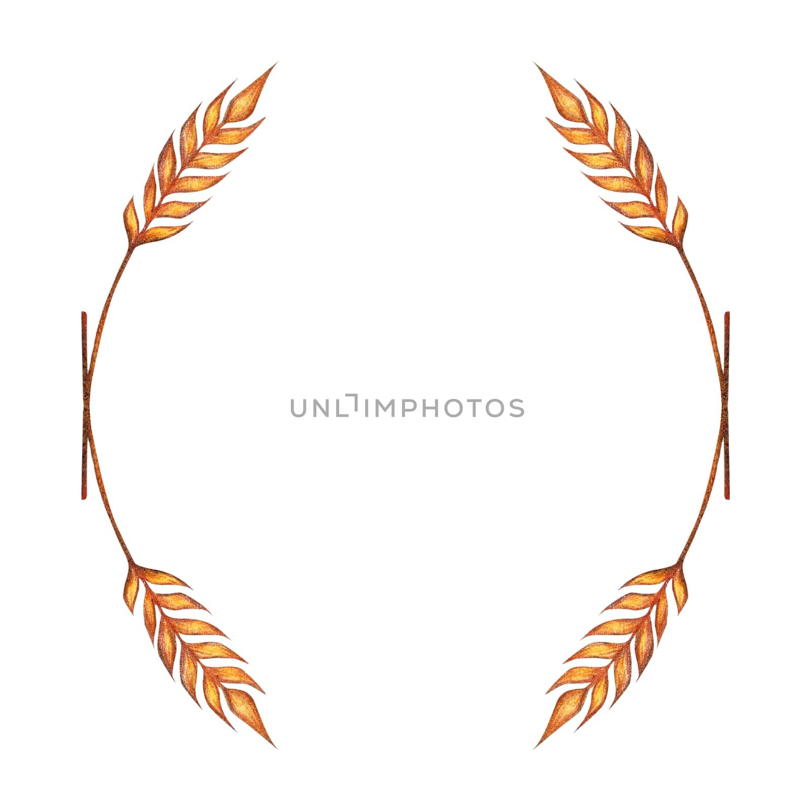 Watercolor ears of wheat frame border illustration isolated on white background. Template for decorating designs and illustrations.