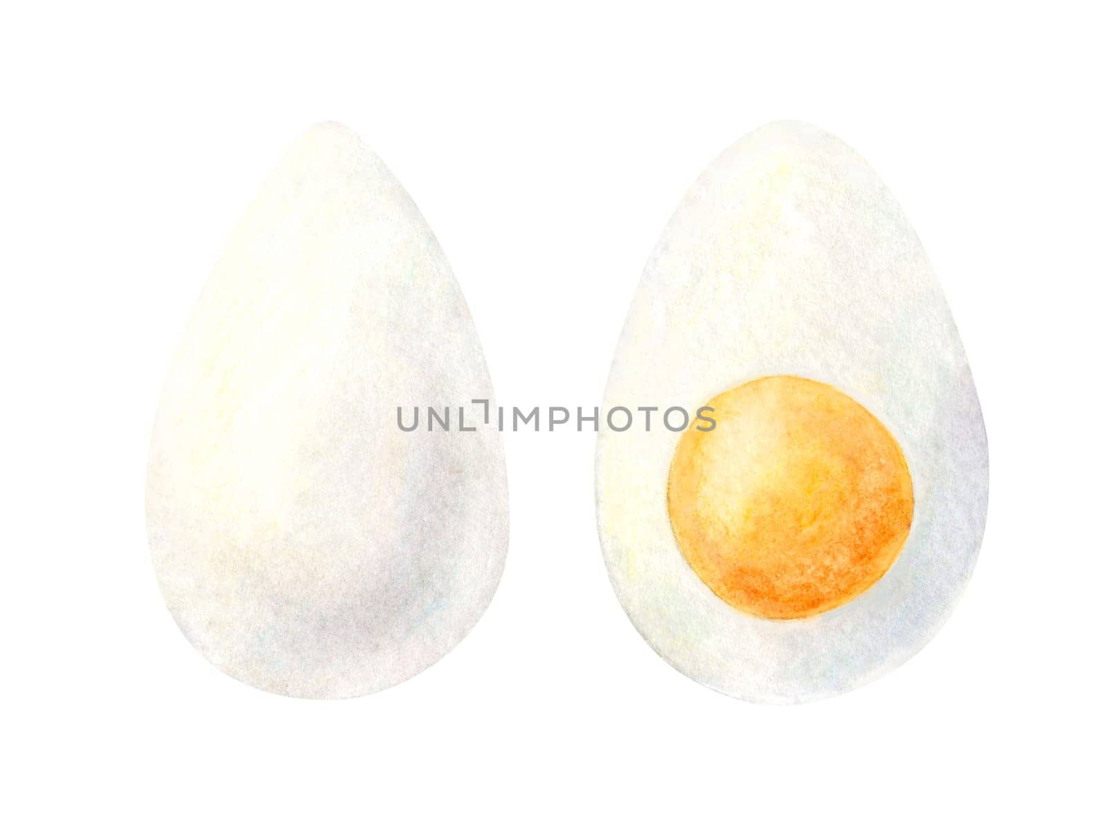 Watercolor painting set of boiled eggs illustration isolated on white background. Half of sliced egg for breakfast. Hand drawn ingredients for restaurant menu, receipt, label, packaging design.