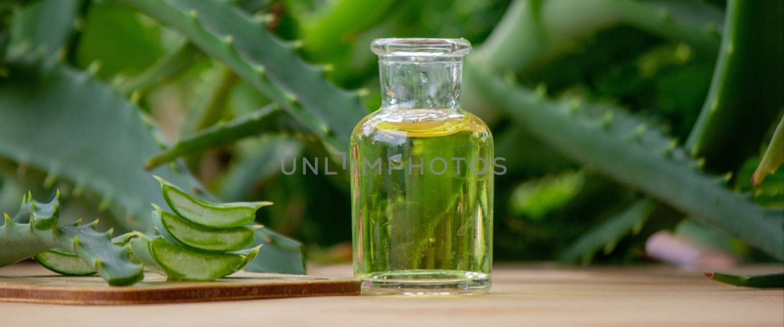 aloe vera essential oil on a wooden background, juice. Selective focus