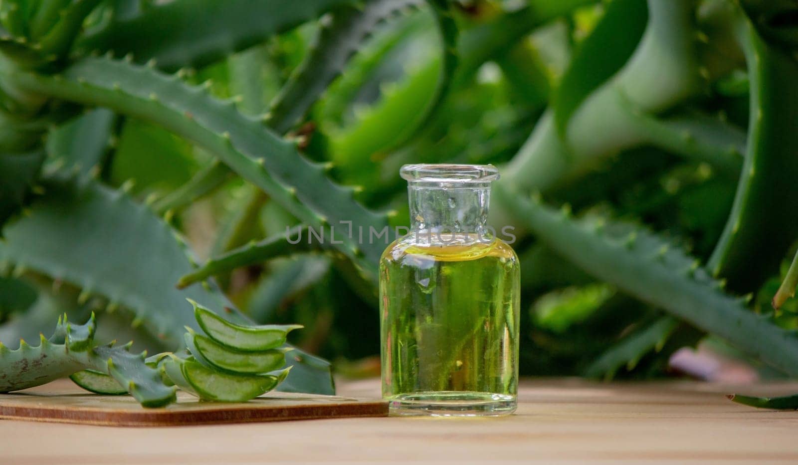 aloe vera essential oil on a wooden background, juice. Selective focus