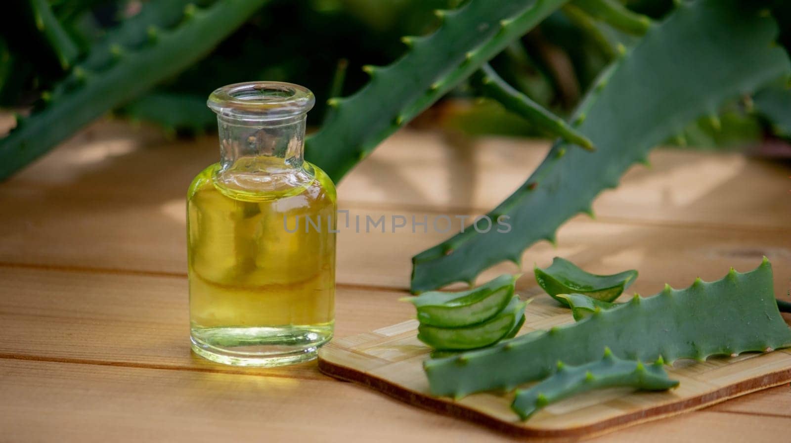 aloe vera essential oil on a wooden background, juice. Selective focus