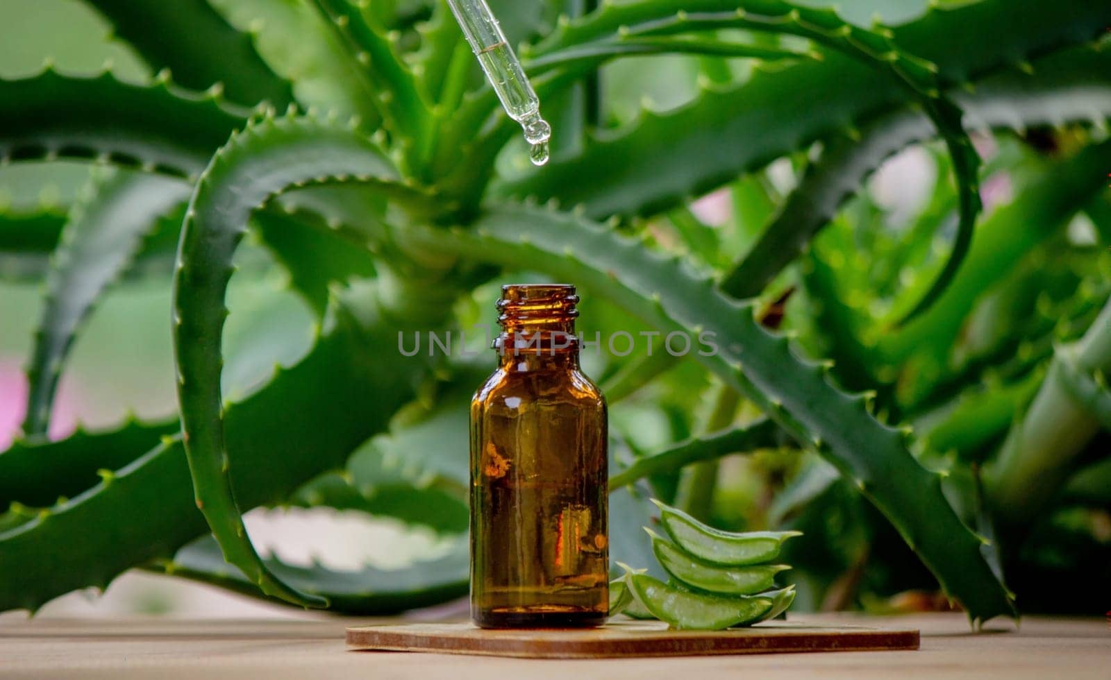 aloe vera essential oil on a wooden background, juice. Selective focus