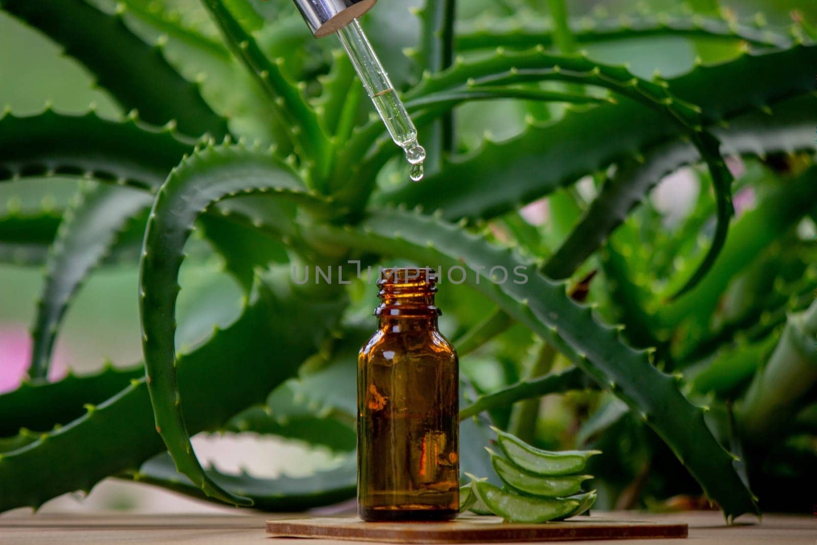 aloe vera essential oil on a wooden background, juice. Selective focus