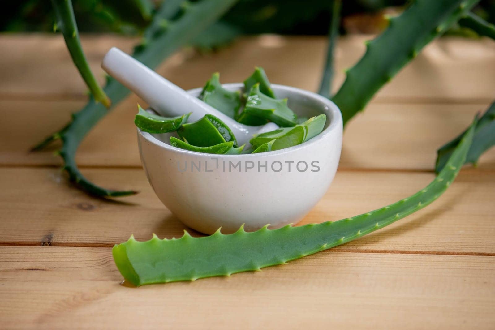 Natural moisturizer for skin care with fresh aloe vera. Selective focus