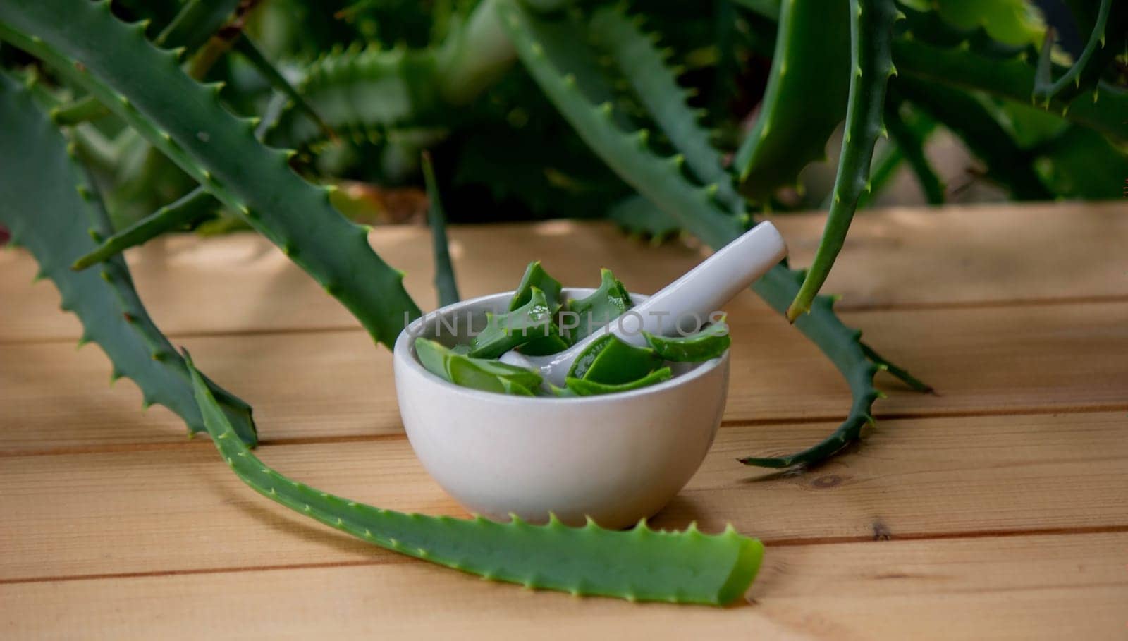 Natural moisturizer for skin care with fresh aloe vera. Selective focus