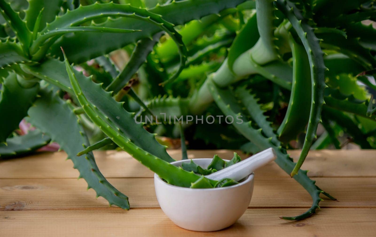 Natural moisturizer for skin care with fresh aloe vera. Selective focus