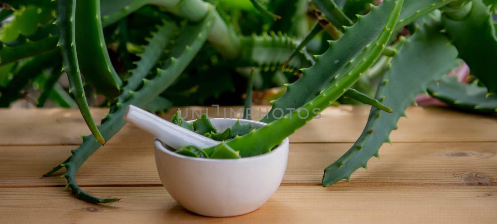 Natural moisturizer for skin care with fresh aloe vera. Selective focus