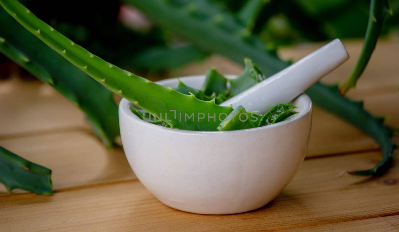 Natural moisturizer for skin care with fresh aloe vera. Selective focus