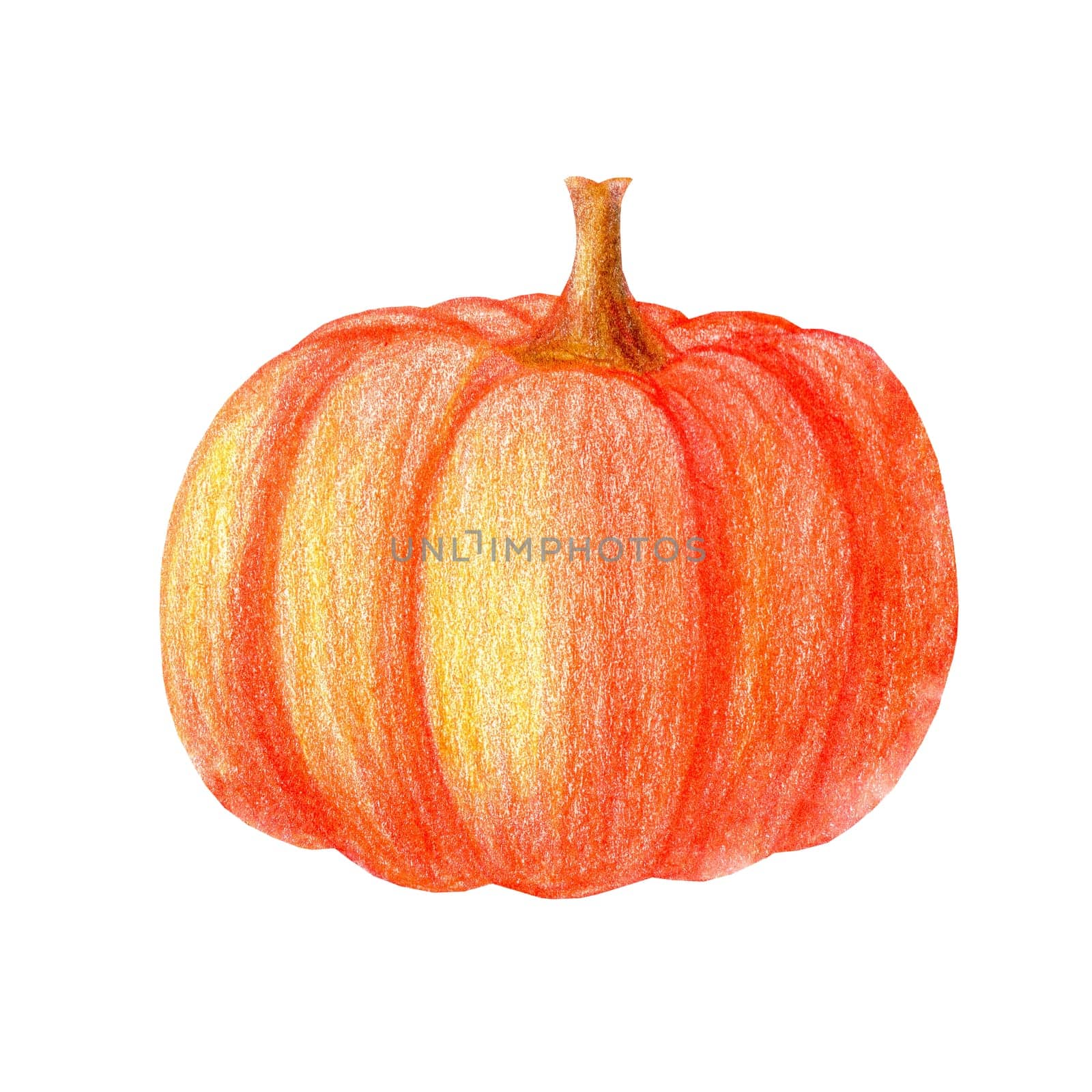 Cute watercolor pumpkin illustration. Hand drawn colored colorful autumn hygge harvest Halloween
