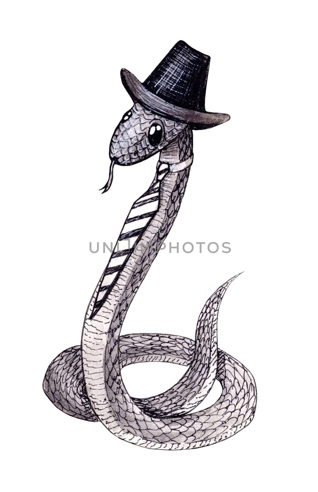 Hand drawn cute snake black and white children cartoon ink illustration in a hat and a tie isolated on white background by Anny_Sketches