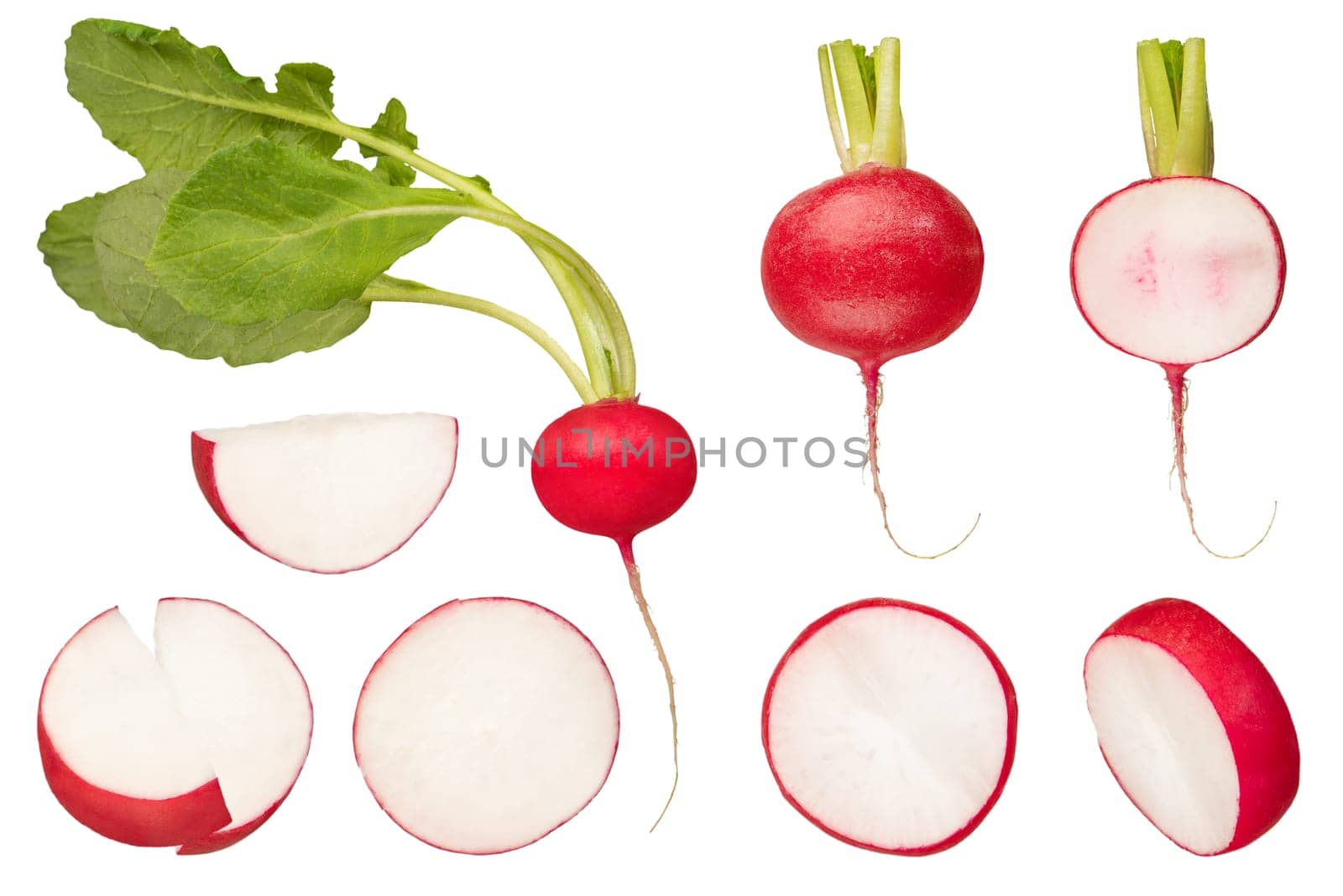 Set of different slices of radish on a white isolated background. Red radish with green tops on a white background. The concept of healthy food or tasty salad dressing. To be inserted into a design.