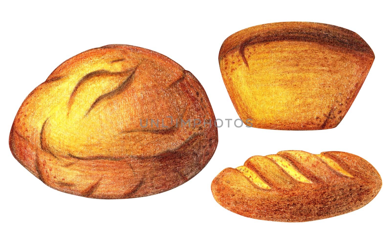 Watercolor Bread set illustration. Different type of bread. Daily Fresh organic pastries products, bread loaf, baguette. Vintage set, isolated. For menu, card, poster, banner