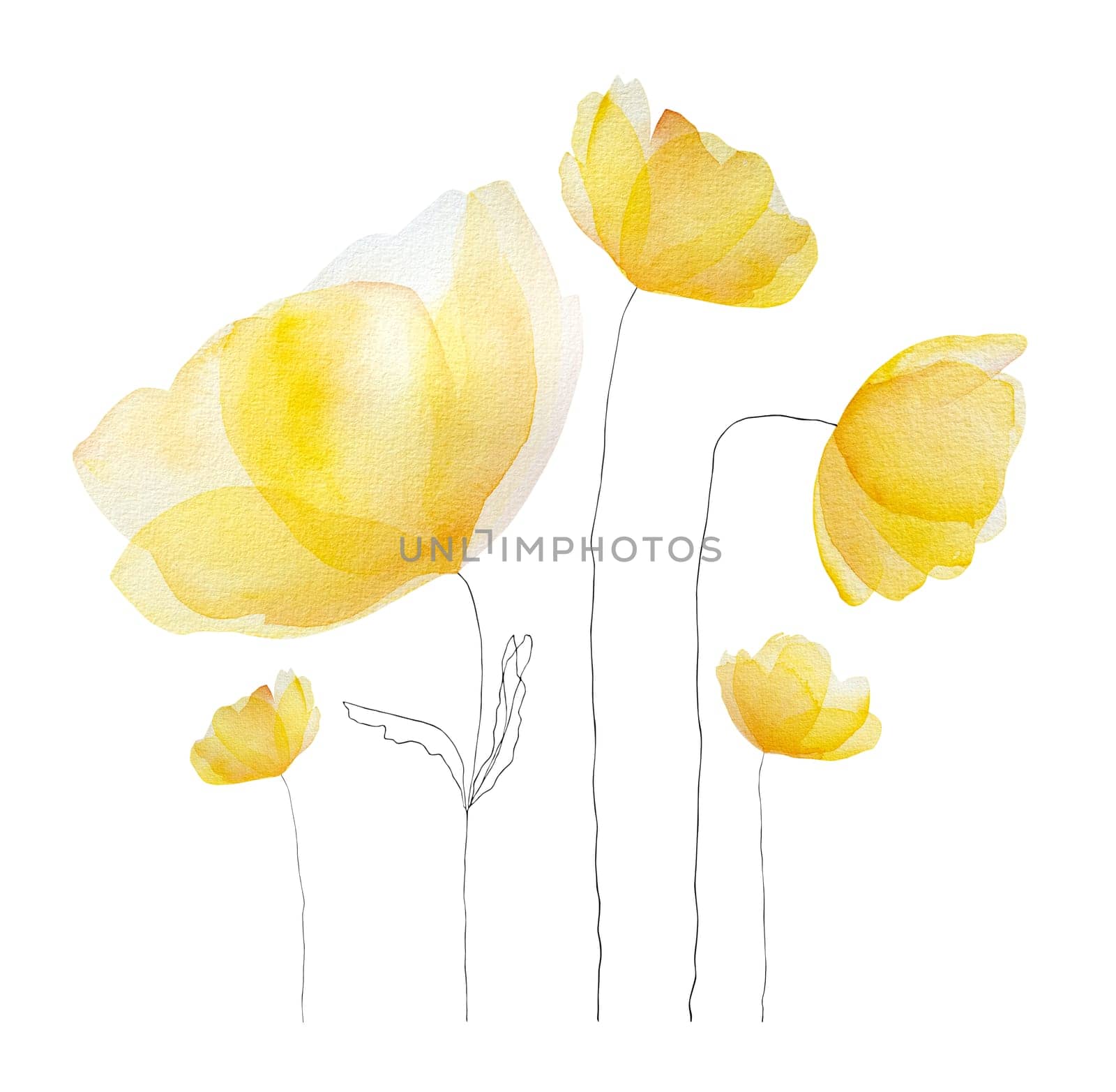 Watercolor spring summer flowers blossom. Tender yellow floral bouquet for decoration and postcard design