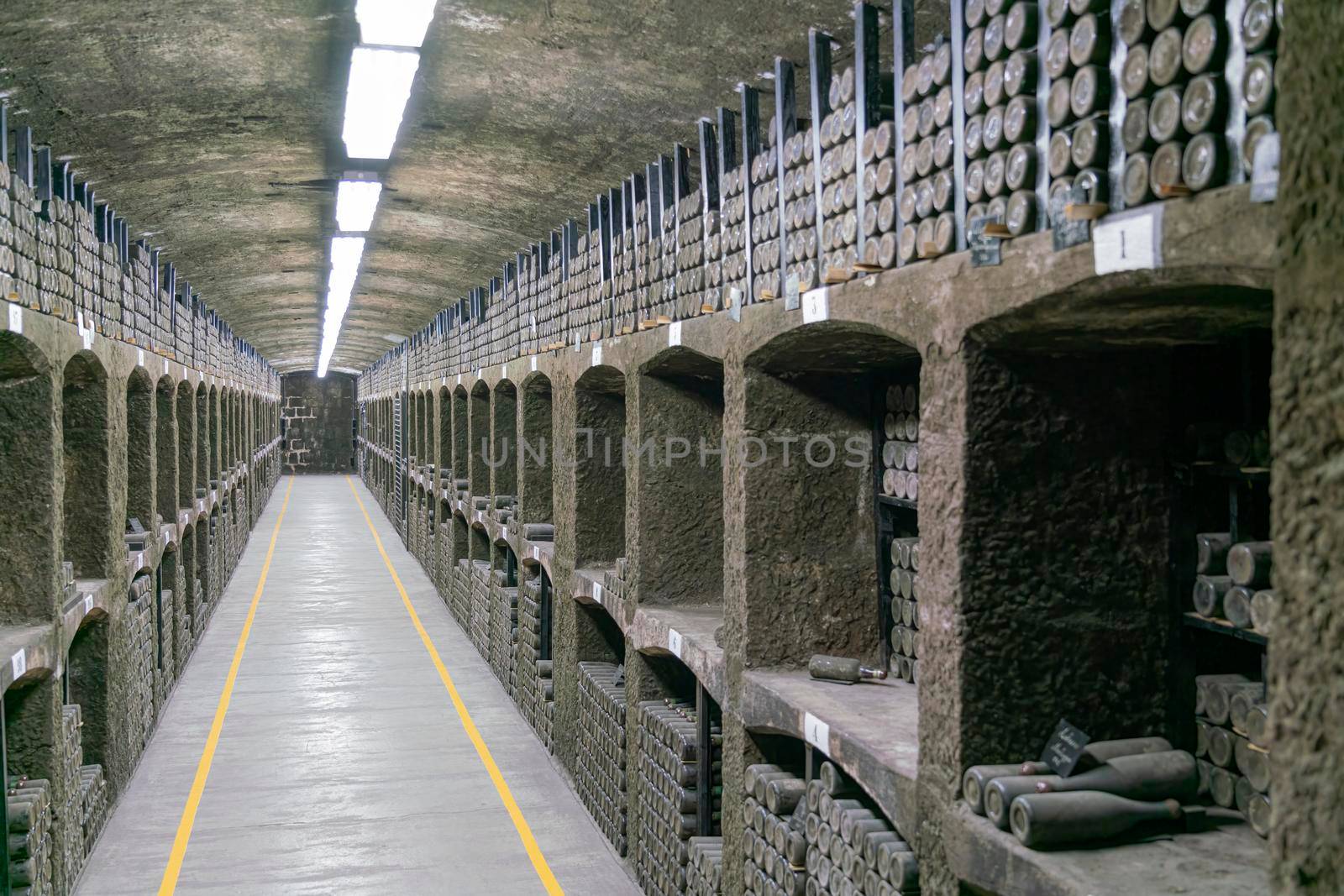 collections of old wine bottles in wine cellars by roman112007