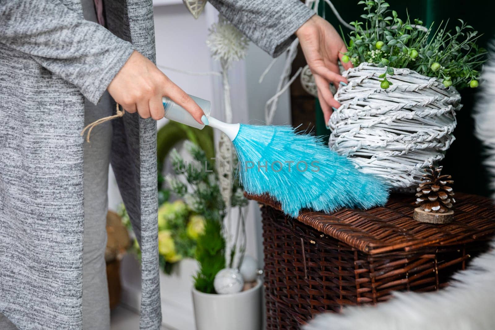 Thorough cleaning in the living room before any important world or visit of important guests. A girl holds a braided flower pot in her hand.