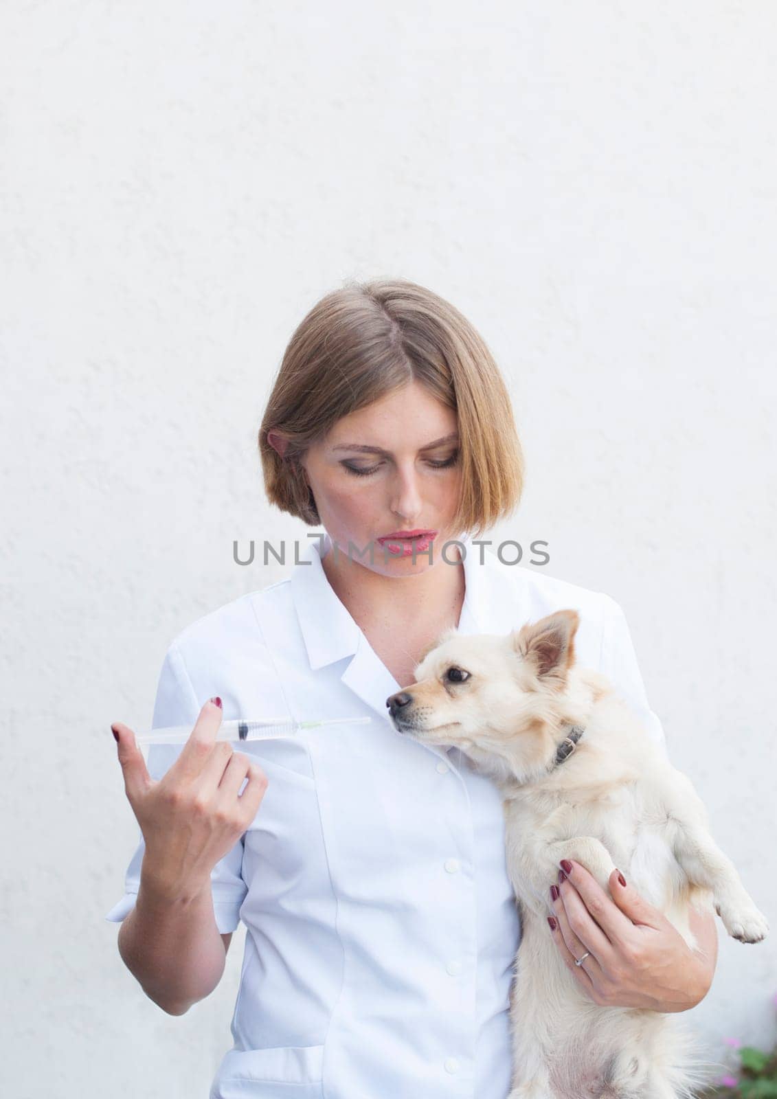 a young girl veterinarian is preparing to give a vaccine to a dog, a chihuahua looks very suspicious at a syringe, High quality photo