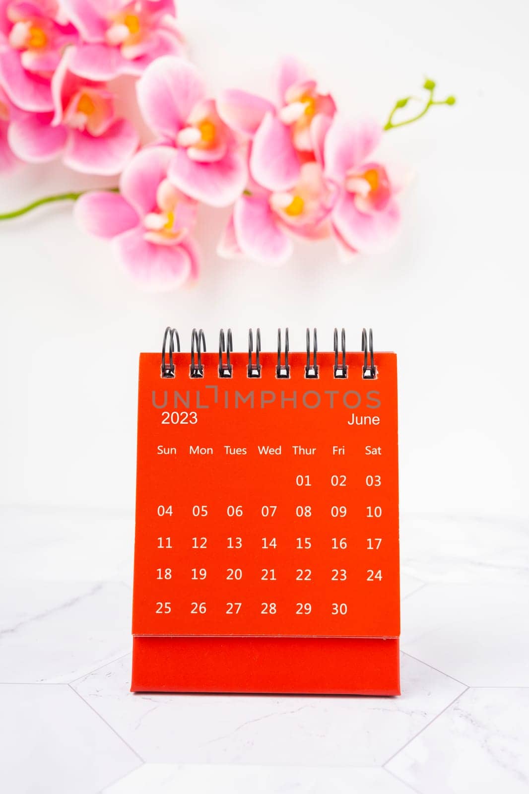 Red calendar June 2023. Desk calendar for year 2023 and pink color orchid.