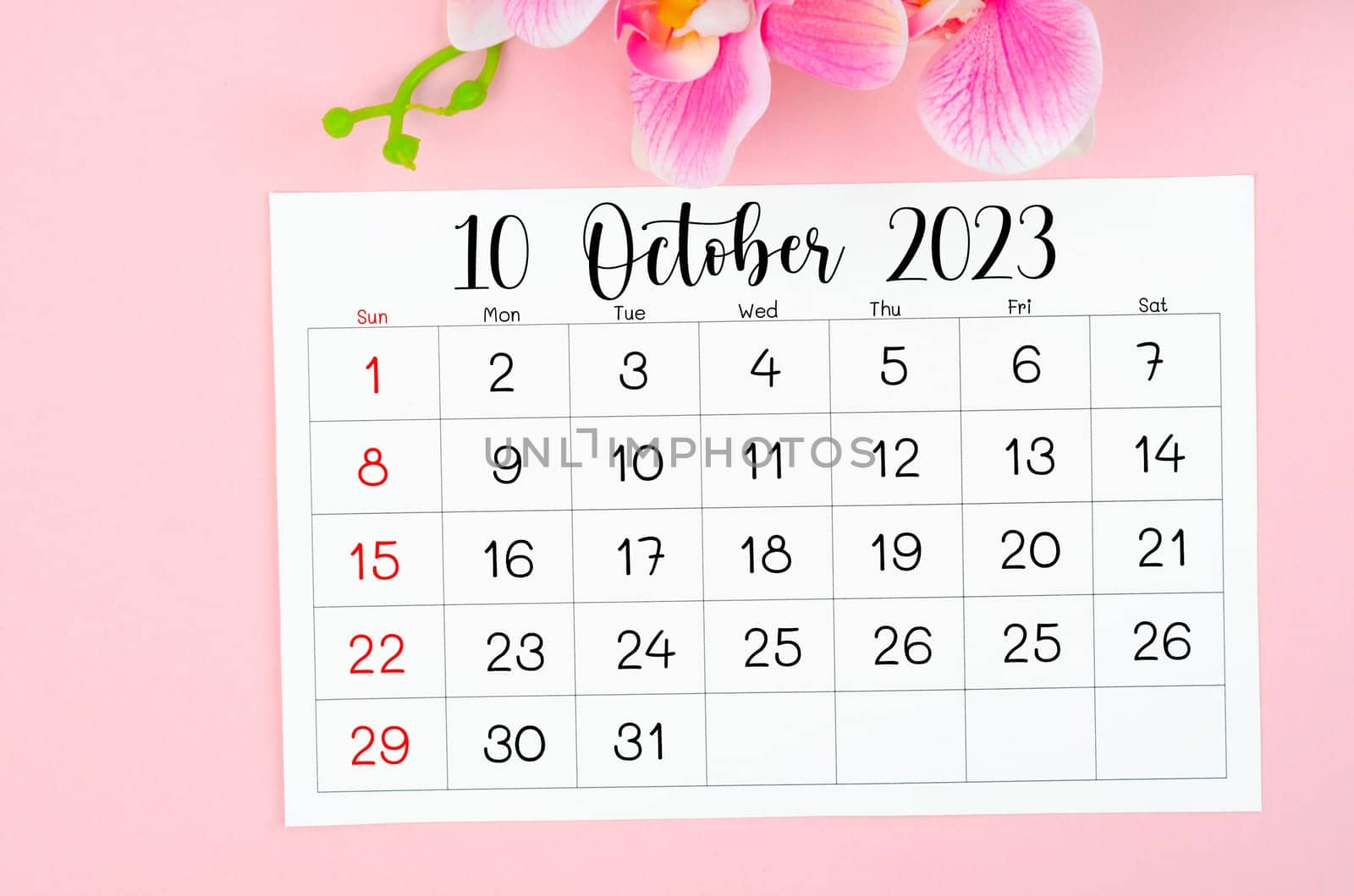 The October 2023 calendar page and pink orchid on pink background. by Gamjai