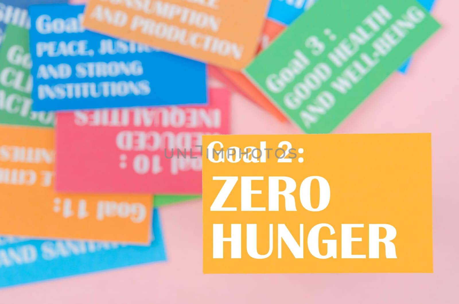 Goal 2: Zero Hunger. The SDGs 17 development goals environment. Environment Development concepts.