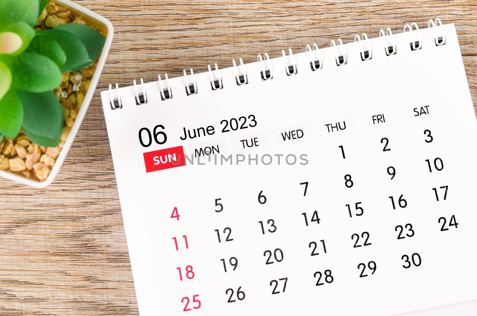 The June 2023 desk calendar for 2023 with plant pot on wooden background. by Gamjai