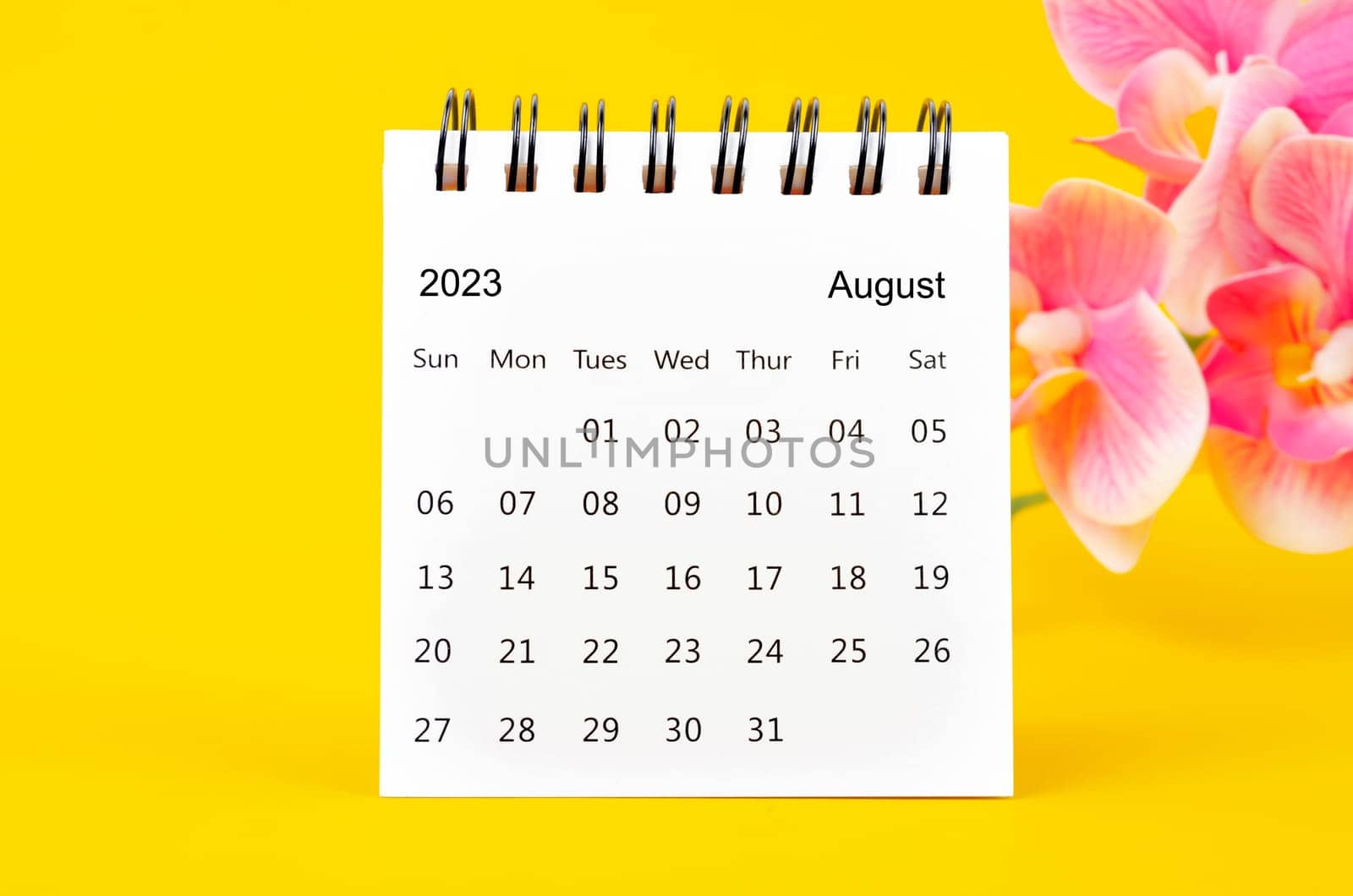 The August 2023 calendar desk and pink orchid on yellow background. by Gamjai