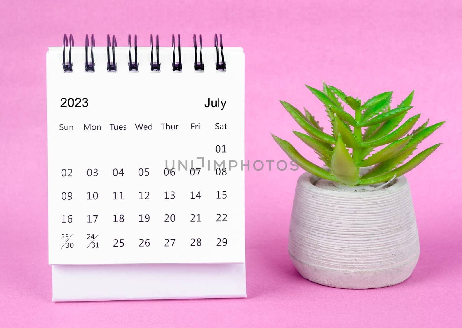 July 2023 Monthly desk calendar for 2023 year with plant pot on pink background.