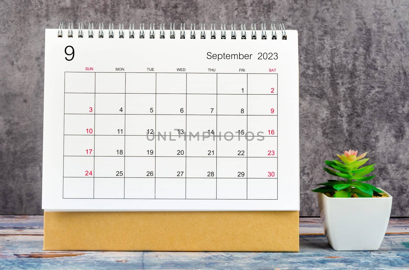 The September 2023 Monthly desk calendar for 2023 year with plant pot on wooden table. by Gamjai