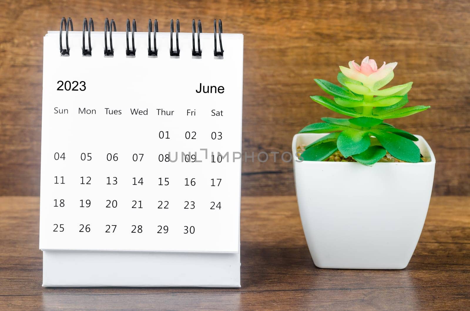 The June 2023 Monthly desk calendar for 2023 year with plant pot. by Gamjai