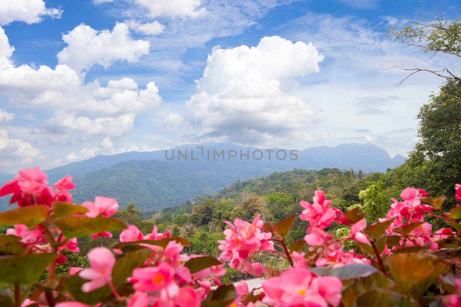 Natural scenery overlooking the beautiful mountains and trees of Thailand.