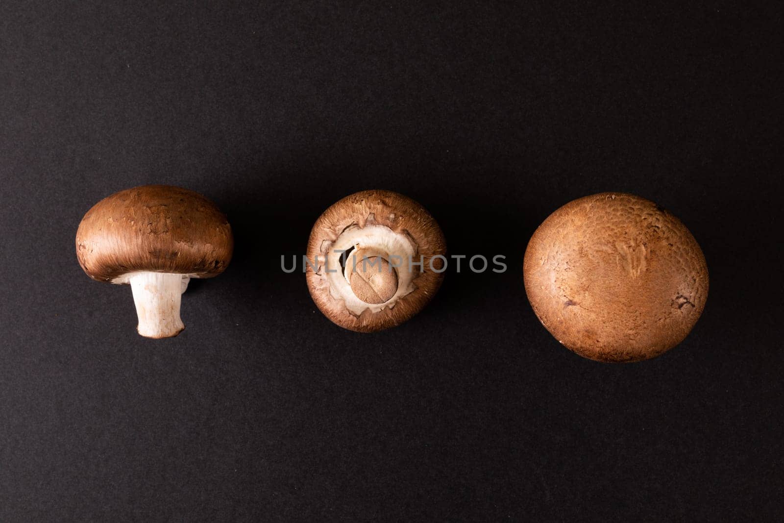 Overhead view of mushrooms arranged side by side on black background, copy space by Wavebreakmedia
