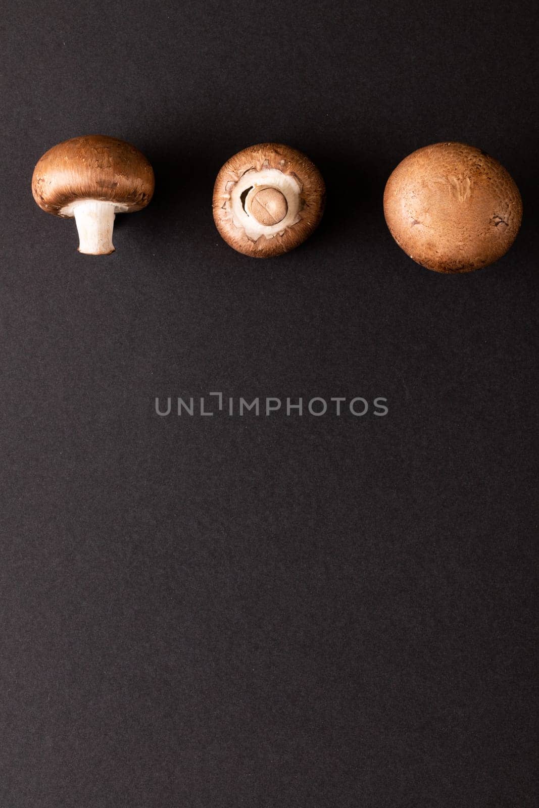 Close-up of mushrooms arranged side by side on black background, copy space by Wavebreakmedia