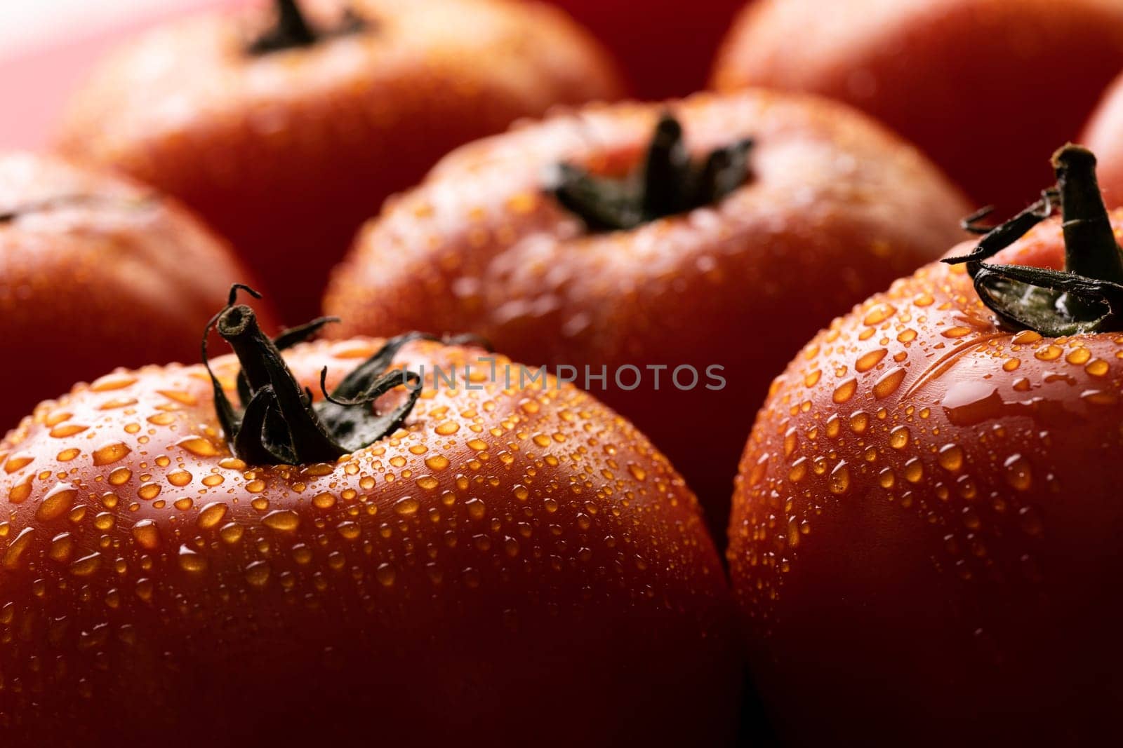 Close-up of water drops on fresh red organic tomatoes. unaltered, food, healthy eating, organic concept.