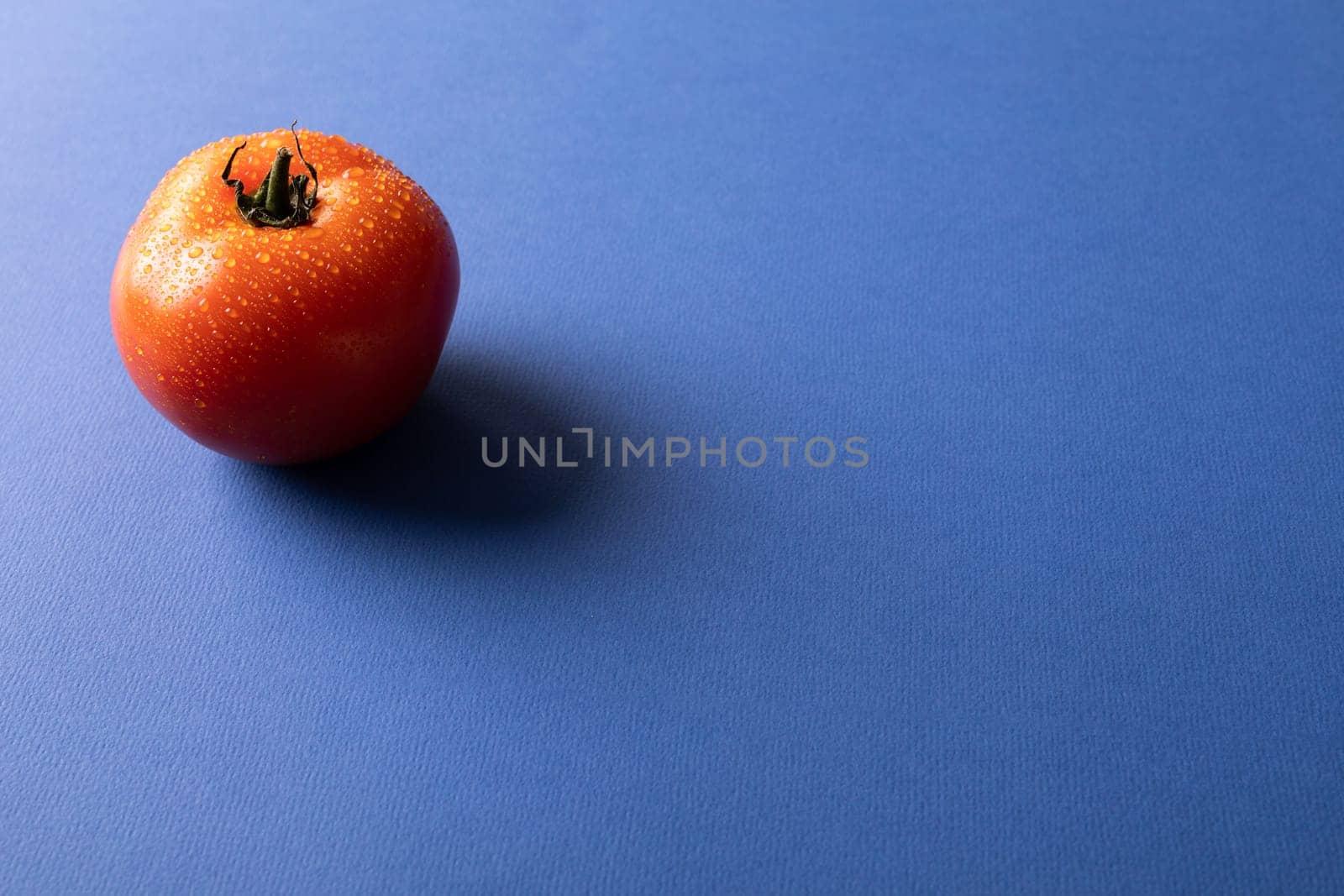 High angle view of fresh single red tomato with water drops by copy space on blue background by Wavebreakmedia