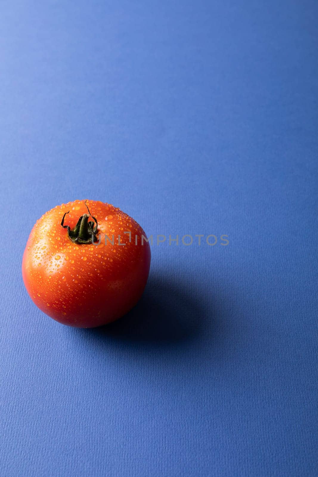 Close-up of fresh single red tomato with water drops by copy space over blue background. unaltered, food, healthy eating, organic concept.