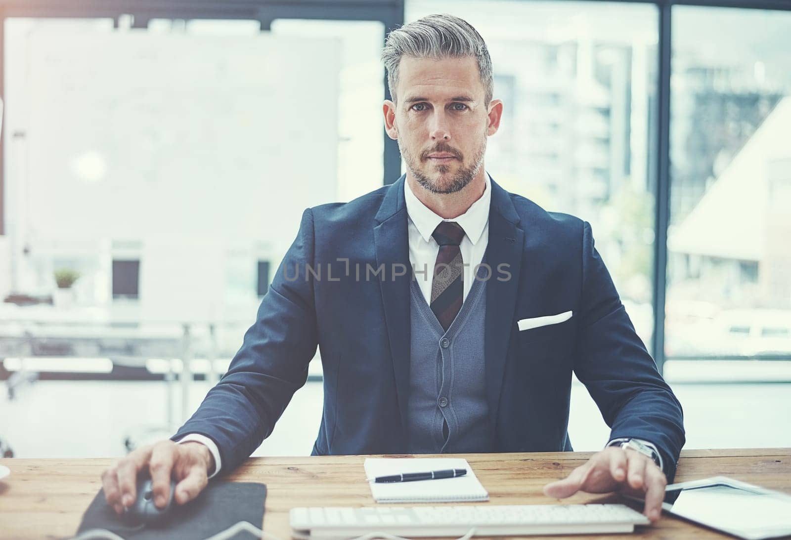 Ready for business. Bring it. Portrait of a mature businessman using a computer at his desk in a modern office