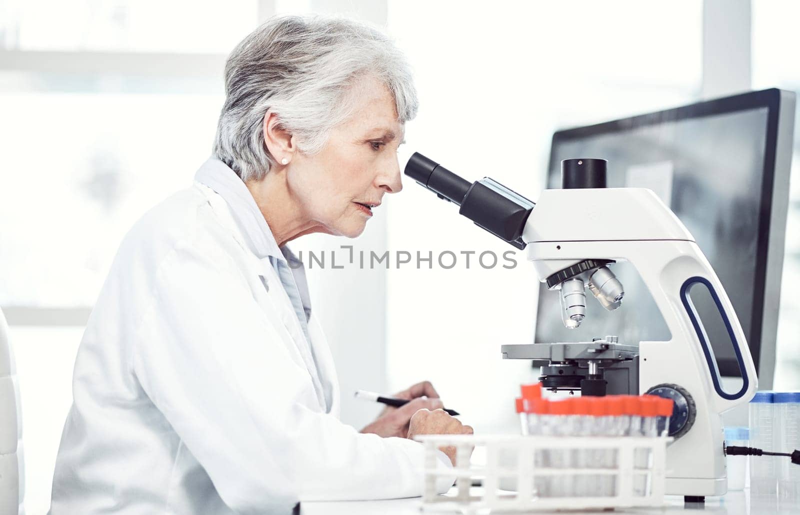 I have to focus every time I do this. a focused elderly female scientist looking through a microscope while being seated in a laboratory. by YuriArcurs