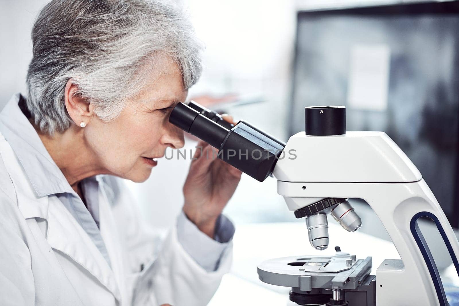 Making medical breakthroughs. a focused elderly female scientist looking through a microscope while being seated in a laboratory. by YuriArcurs